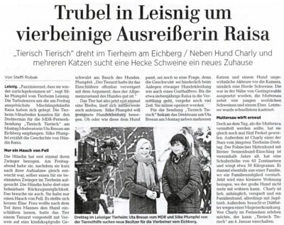 Zeitungsartikel Trubel im Leisniger Tierheim (Bild vergr&ouml;&szlig;ern)