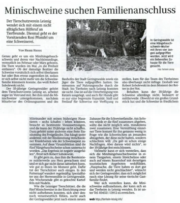 Zeitungsartikel Minischweine suchen neuen Familienanschluss (Bild vergr&ouml;&szlig;ern)