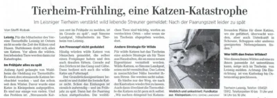 Zeitungsartikel Tierheim-Frühling, eine Katzen-Katastrophe (Bild vergr&ouml;&szlig;ern)