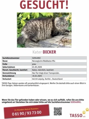 Flyer zur Suchmeldung (Bild vergr&ouml;&szlig;ern)