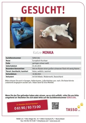 Flyer zur Suchmeldung (Bild vergr&ouml;&szlig;ern)