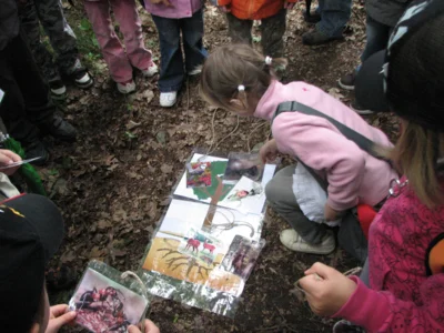 Sommerferien-Programm für Familien im Walderlebnisgarten Eich „Alle hängen voneinander ab – Lebensgemeinschaft Wald“
