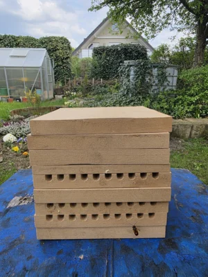 Die ersten Mauerbienen sind geschlüpft! (Bild vergr&ouml;&szlig;ern)