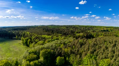 Blick auf den Ruhner Wald