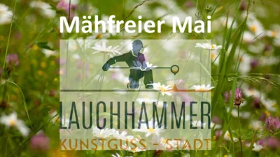 Stadt Lauchhammer beteiligt sich an der Aktion „Mähfreier Mai“