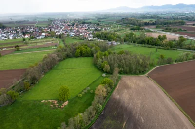 Das Klima in Ottersweier verändert sich – was bedeutet das für uns? (Bild vergr&ouml;&szlig;ern)