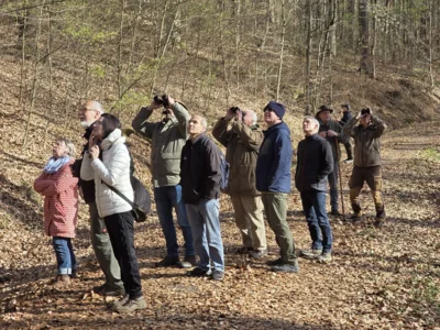Bilder: Natur- und Vogelschutzgruppe Bleichenbach e. V. (Bild vergr&ouml;&szlig;ern)