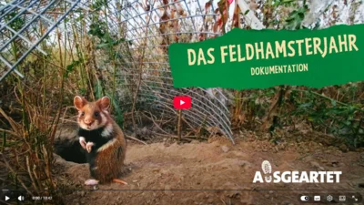 Doku Feldhamsterjahr, LPV Nordwestsachsen (Bild vergr&ouml;&szlig;ern)