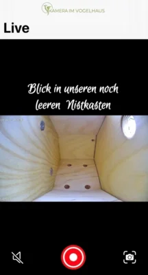 Blick ins Vogelhaus (Bild vergr&ouml;&szlig;ern)