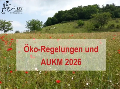 Infoveranstaltungen zu Öko-Regelungen und AUKM in 2026 (Bild vergr&ouml;&szlig;ern)