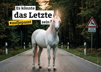 #aufjepasst: Gemeinsame Kampagne für mehr Verkehrssicherheit in Sachsen-Anhalt gestartet