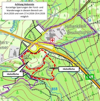 Baumfällarbeiten