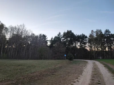 Aussichtsplattform Sternenpark Flecken Zechlin in Planung (Bild vergr&ouml;&szlig;ern)