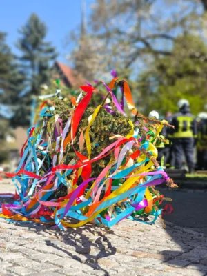 Der erste Maibaum steht (Bild vergr&ouml;&szlig;ern)