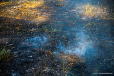 Waldbrandsaison 2026: Warum der Frühling in Oberhavel trügerisch ist (Bild vergr&ouml;&szlig;ern)