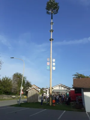 Foto: Die Moosbacher Dorfvereine stellen den Maibaum auch heuer wieder gemeinsam auf und laden zu einer kleinen Feier ein. Foto zur Meldung: Gemeinsam wird der Maibaum aufgestellt