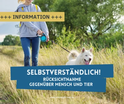 Symbolbild zur Meldung mit angeleintem Hund (Bild vergr&ouml;&szlig;ern)