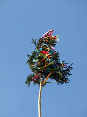 Sperrung des Dorfplatzes - Maibaum (Bild vergr&ouml;&szlig;ern)