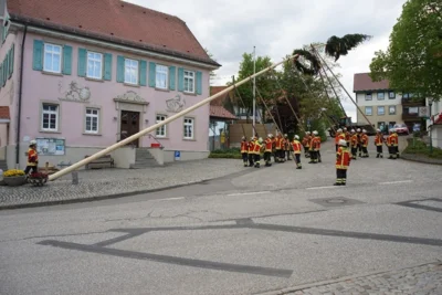 Maibaum wird aufgestellt