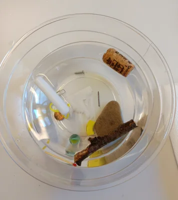 Foto zur Meldung: Experimente im Sachunterricht Klasse 1b Foto zur Meldung: Experimente im Sachunterricht Klasse 1b