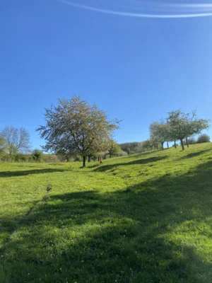 Ein Tag auf der Streuobstwiese (Bild vergr&ouml;&szlig;ern)