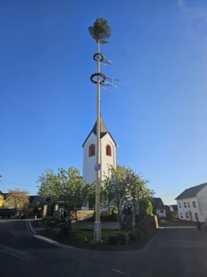 Der Dohrer Maibaum - perfekt vorbereitet und exakt ausgerichtet