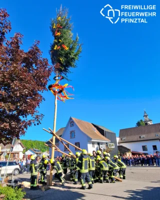 🌳🎉 Traditionelles Maibaumstellen in Kleinsteinbach (Bild vergr&ouml;&szlig;ern)