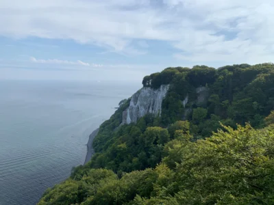 Kreidefelsen Rügen (Bild vergr&ouml;&szlig;ern)