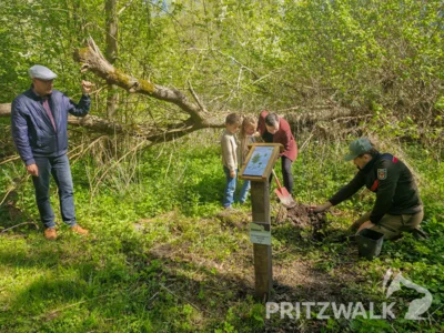 Der neue Waldpädagoge Constantin Geilen pflanzte mit den Besucherinnen und Besuchern der Waldschule eine Aspe in den Park der Jahresbäume. Foto: Stadt Pritzwalk (Bild vergr&ouml;&szlig;ern)