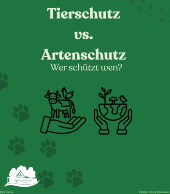 Tierschutz vs. Artenschutz – wer schützt wen? (Bild vergr&ouml;&szlig;ern)