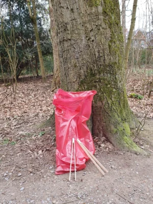 SauberZauber (Bild vergr&ouml;&szlig;ern)