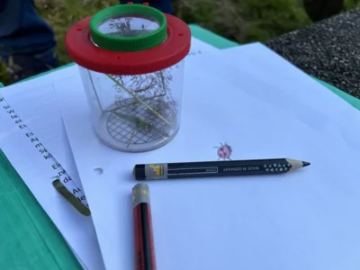 Wiesenstunde (Bild vergr&ouml;&szlig;ern)