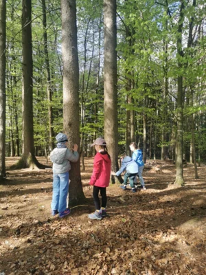 Mit allen Sinnen durch den Wald – Löwen- und Tigerklasse auf Entdeckungstour (Bild vergr&ouml;&szlig;ern)