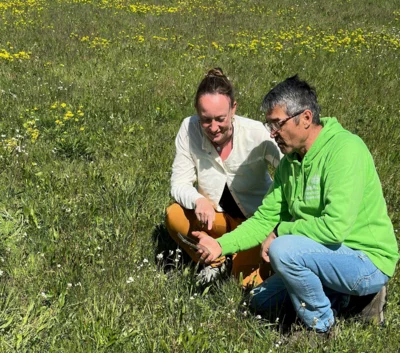 Meldung: Neues Umweltprojekt: Bürgerinnen und Bürger sollen helfen, seltene Pflanzenarten zu bestimmen