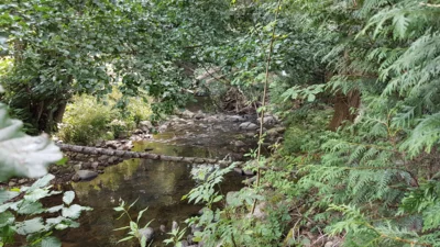 Erinnerung an die Rechtsverordnung (RVO) desLandratsamtes Waldshut über die Beschränkung des wasserrechtlichen Gemeingebrauchs an oberirdischen Gewässern (Bild vergr&ouml;&szlig;ern)