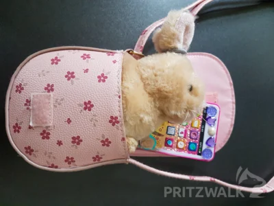 Eine rosafarbene Tasche mit Inhalt liegt im Pritzwalker Fundbüro zur Abholung bereit. Sie blieb beim Frühlingserwachen im Citybüro liegen. Foto: Stadt Pritzwalk (Bild vergr&ouml;&szlig;ern)