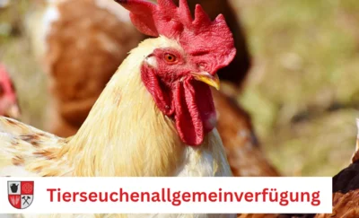 Foto Pixabay/Canva (Bild vergr&ouml;&szlig;ern)