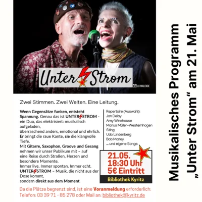 Musikalisches Programm „Unter Strom“ in der Stadtbibliothek (Bild vergr&ouml;&szlig;ern)