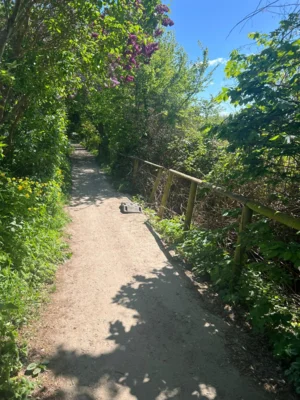 Wanderweg Am Wiesengrund (Bild vergr&ouml;&szlig;ern)