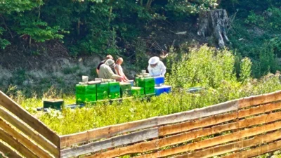 Mitmach-Projekt für Kinder „Junge Imker“ startet am Samstag – Noch Plätze frei (Bild vergr&ouml;&szlig;ern)