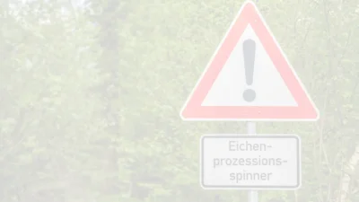 Bekämpfung des Eichen- prozessionsspinners (Bild vergr&ouml;&szlig;ern)