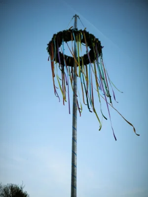 Neuer Maibaum in Grevenhagen (Bild vergr&ouml;&szlig;ern)