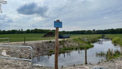 „See Biber Lavendel“: Fortschritte am Seegraben (Bild vergr&ouml;&szlig;ern)