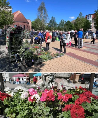 Großer Andrang beim Pflanzen- und Kreativmarkt in Wriezen