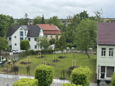 Natürlicher Klimaschutz in Meuselwitz
