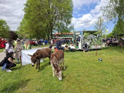 Eselfreunde im Havelland e. V.
