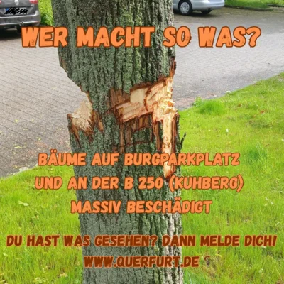 Wer macht so was? Bäume massiv beschädigt.