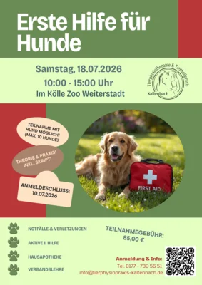 Flyer zum Erste Hilfe Kurs für Hunde