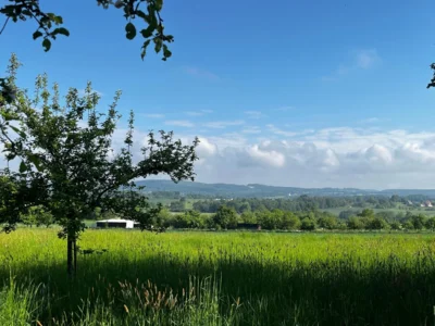 2. Wandertag im Mai (Bild vergr&ouml;&szlig;ern)