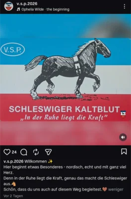 VSP bei Instagram (Bild vergr&ouml;&szlig;ern)